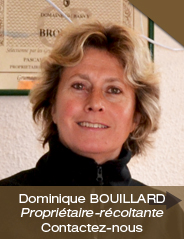 Dominique BOUILLARD