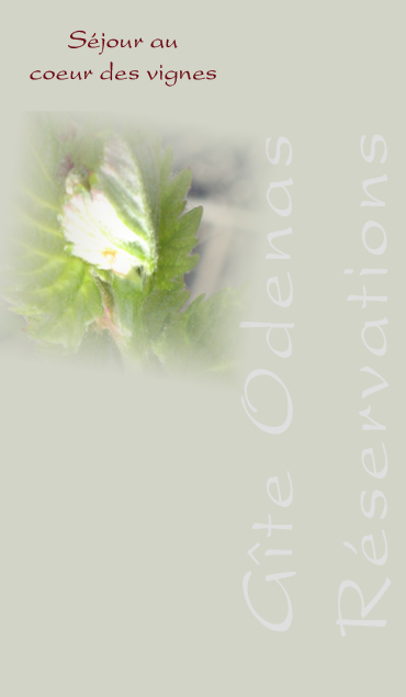 formulaire-reservation-gite-odenas