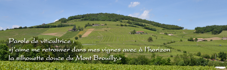 parole-de-viticultrice