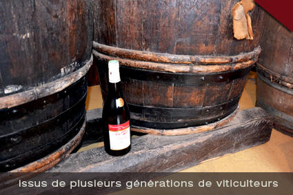 vendanges-domaine-du-barvy